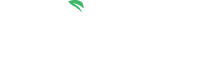 Group 1000004161